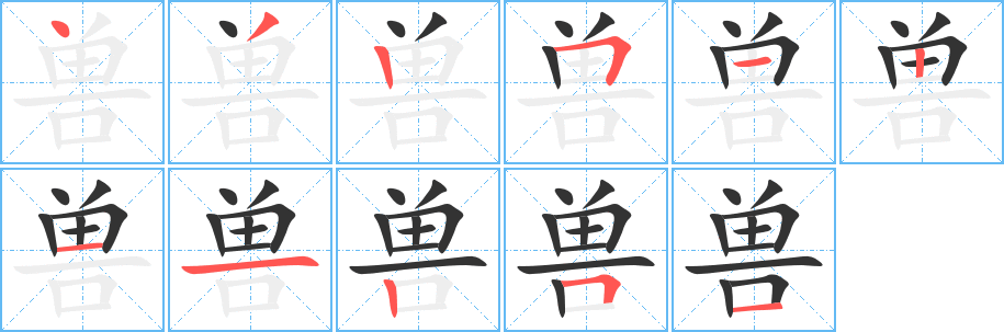 兽的笔顺笔画