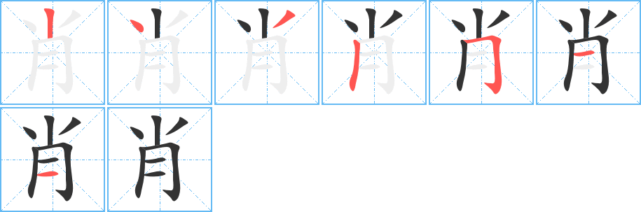 肖的笔顺笔画