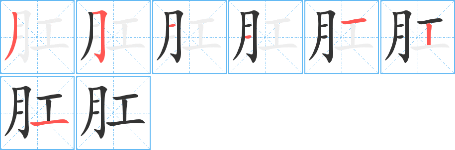 肛的笔顺笔画