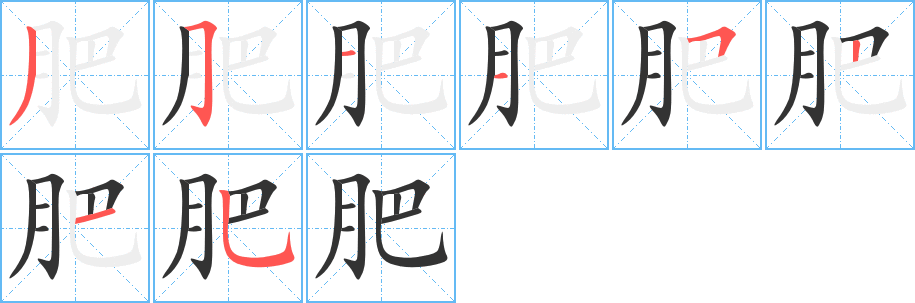 肥的笔顺笔画