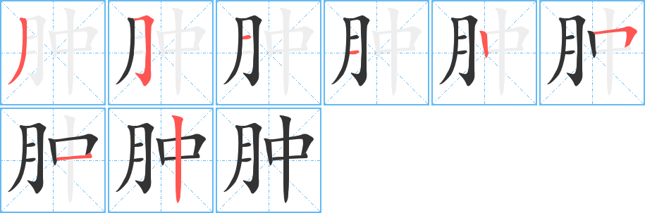 肿的笔顺笔画