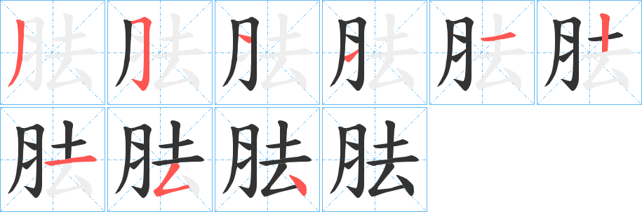 胠的笔顺笔画