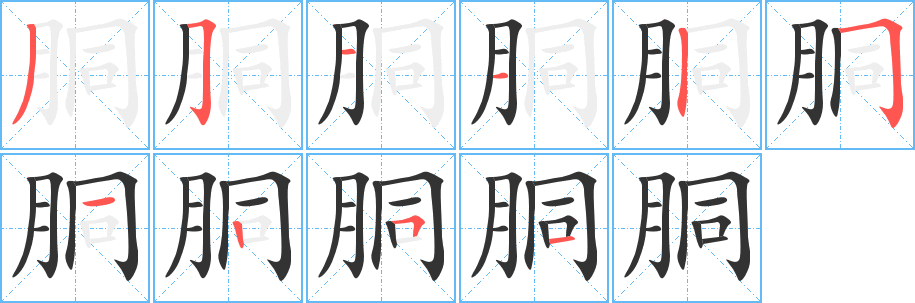 胴的笔顺笔画