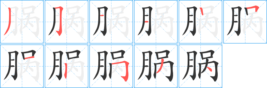 脶的笔顺笔画