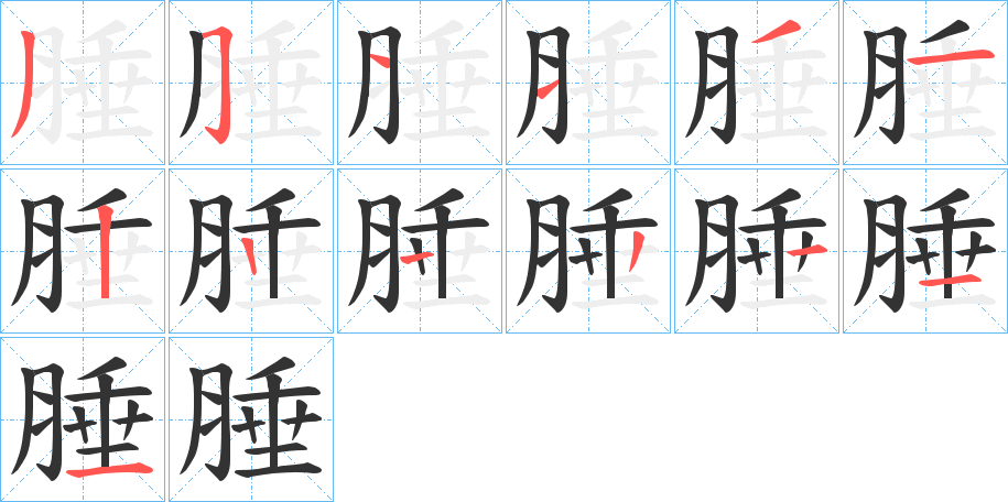 腄的笔顺笔画