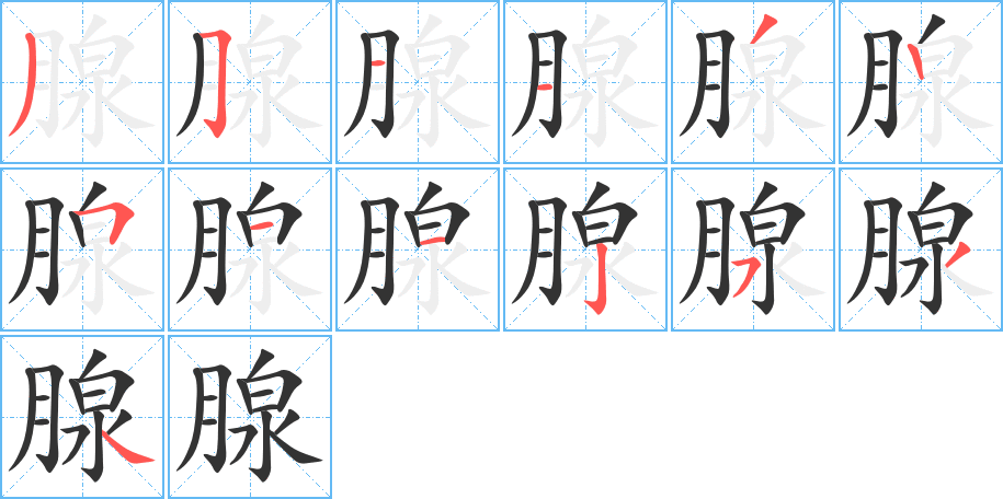 腺的笔顺笔画