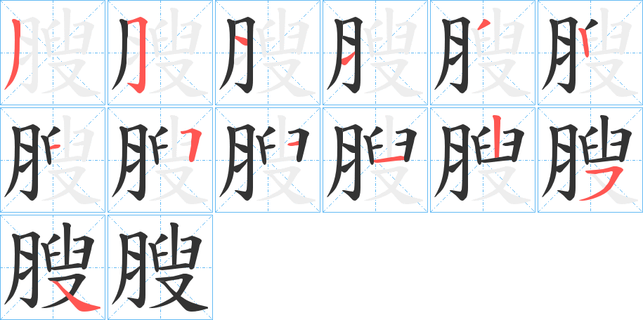 膄的笔顺笔画