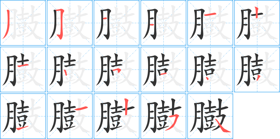 臌的笔顺笔画