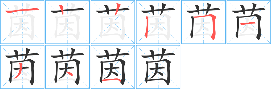 茵的笔顺笔画