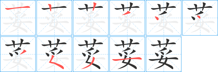 荽的笔顺笔画