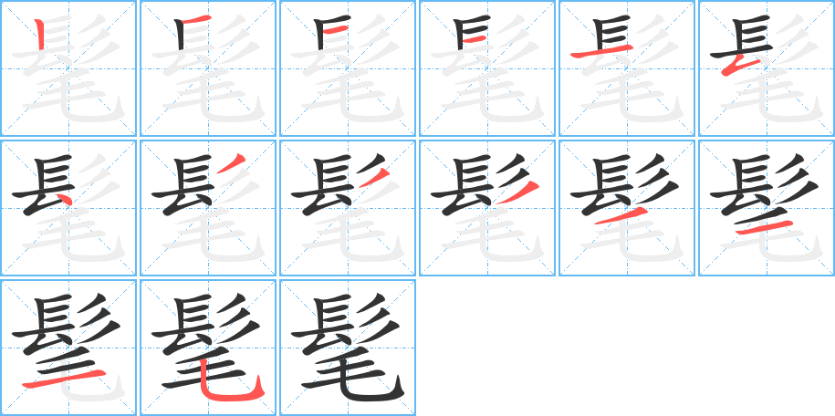 髦的笔顺笔画