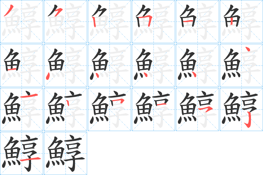 鯙的笔顺笔画