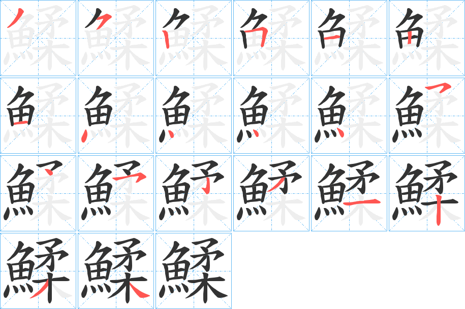 鰇的笔顺笔画